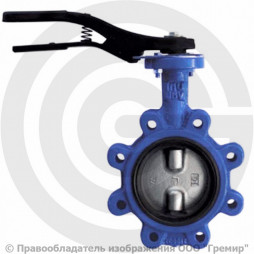 Затвор дисковый поворотный межфланцевый Ду-250 Ру-16 двойной шток с нержавеющим диском Giacomini R59FL