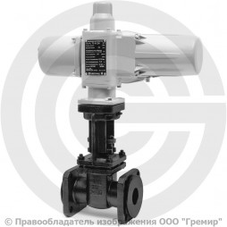 Задвижка чугунная фланцевая Ду-50 Ру-10/16 (Т<225°С) 30ч906бр ЛМЗ с электроприводом ГЗ-А.70/24 (380 В)