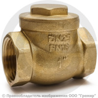 Клапан обратный поворотный латунный Ду-50 (2") Ру-16 ВР (ВН) (Т<110°С) латунь N6 Giacomini