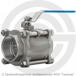 Кран нержавеющий AISI 316 (CF8M) Ду-65 (2 1/2") Ру-40 ВР (ВН) муфтовый полнопроходной АДЛ BV17