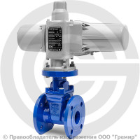 Задвижка чугунная фланцевая Ду-50 Ру-16 (Т<150°С) 30ч939р SL12 ЛМЗ с электроприводом ГЗ-А.70/24 (380 В)
