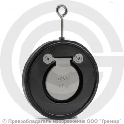 Клапан обратный одностворчатый стальной межфланцевый Ду-250 Ру-16 (Т<110°С) диск нерж Benarmo