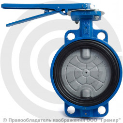Затвор дисковый поворотный межфланцевый Ду-150 Ру-16 EPDM с чугунным диском ЛМЗ 32ч1р