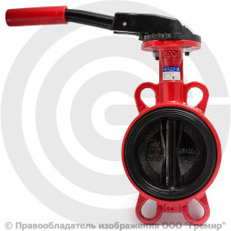 Затвор дисковый поворотный межфланцевый Ду-65 Ру-16 EPDM с чугунным диском АДЛ Гранвэл ЗПВС-FL(W)-MN-E