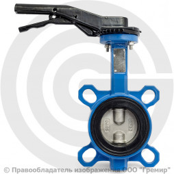 Затвор дисковый поворотный межфланцевый Ду-65 Ру-16 EPDM с нержавеющим диском Tecofi VPI4449-02EP